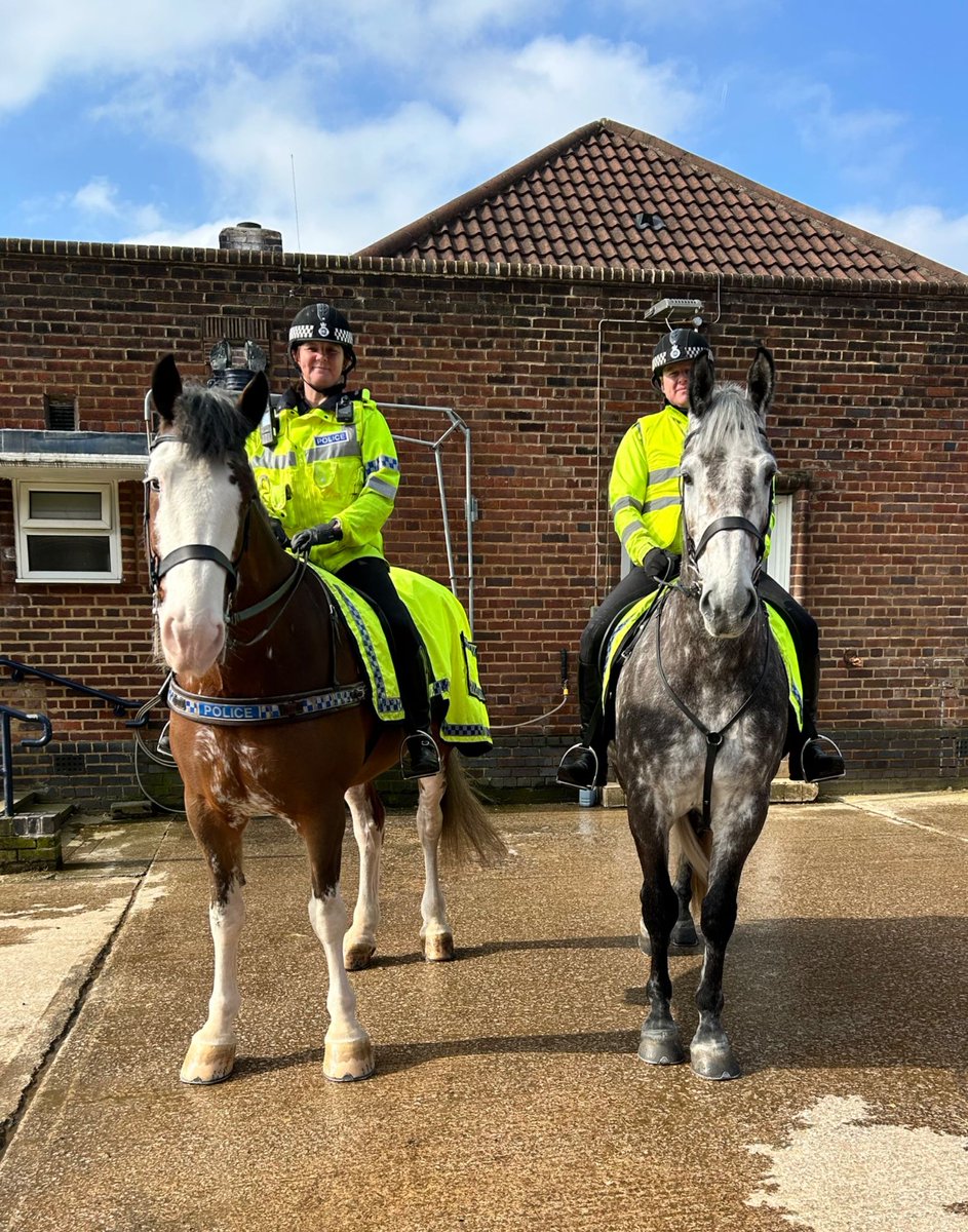 While Owen and Arnie are patrolling the City Centre, Chunky and Beau are out on a local patrol around Allerton and Mossley Hill.
#StandTall #PHChunky #PHBeau #MountedPatrols