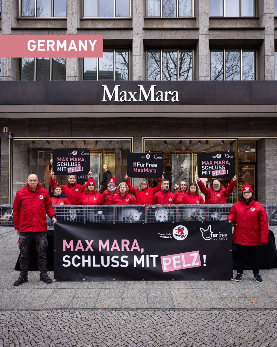 The Fashion World Demands Change! 🚨 During fashion weeks in New York, London, Milan, and Paris, we, together with other organisations that are part of the @furfreealliance, bombarded @MaxMara with over 274.000 emails 📨, 5.000 calls ☎️, and an avalanche of social media posts 💬