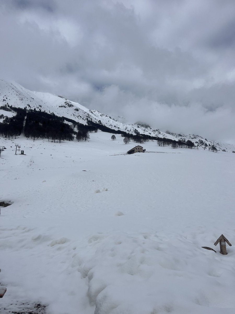 🌨🤍 #montebaldo #snowvibes