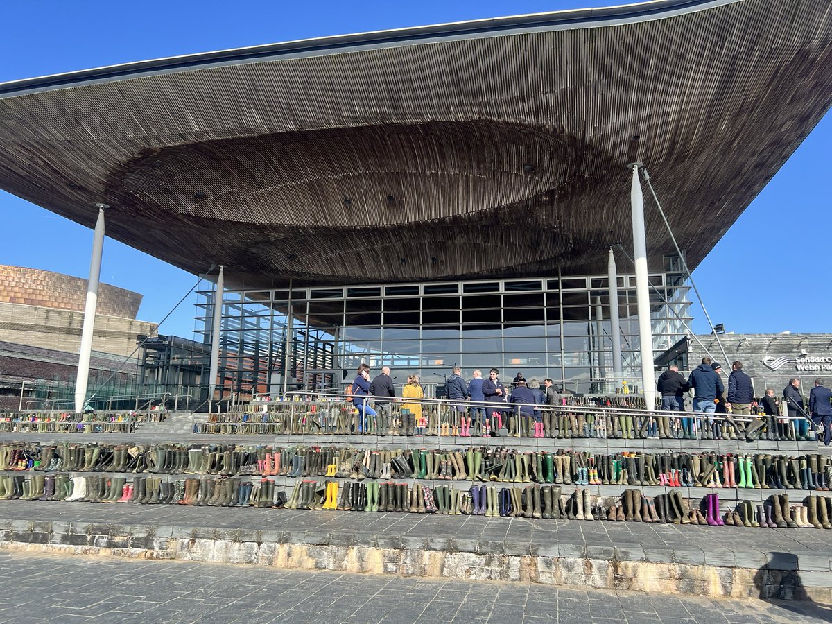 5.5k #BootsToTheSenedd to highlight sustainable farming scheme comcerns Most faced outwards 3 pairs faced into the chamber Smallest wellies for our future generations Tallest wellies for our present generation Yellow wellies for #farmsafety Cows 🐄🐂 to mark bTB situation in 🏴󠁧󠁢󠁷󠁬󠁳󠁿