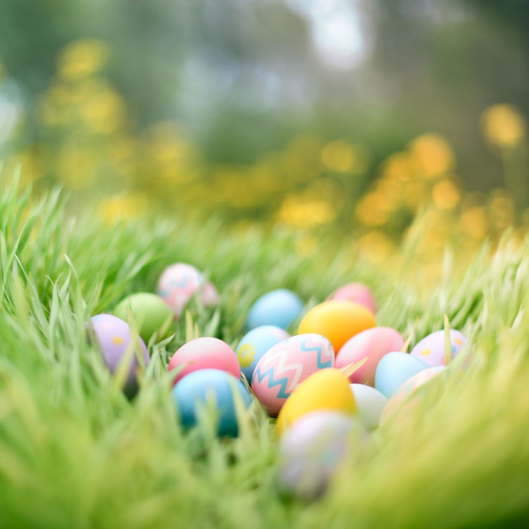 Tickets are going fast for our annual #Easter Egg Hunt 👇 📆 29th March 🎟️ Only tickets remaining for 3pm session 📆 30th March 🎟️ Only tickets remaining for 12pm, 1pm, 2pm and 3pm sessions 🔗 awenboxoffice.com/bryngarw-count…
