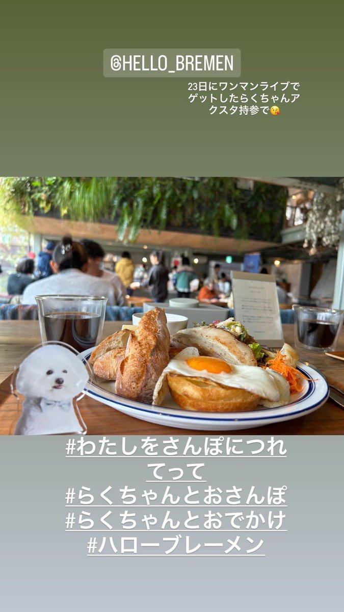 Hellobremen's tweet photo. おしゃれなとこにも連れてってもらっちゃって♡うれしいー！
ワンマンライブでお迎えしてもらったらくちゃんたち元気かな？
#ハローブレーメン
#わたしをさんぽにつれてって
さおりちゃんありがとう♡ https://t.co/PpBCYz7GD9
