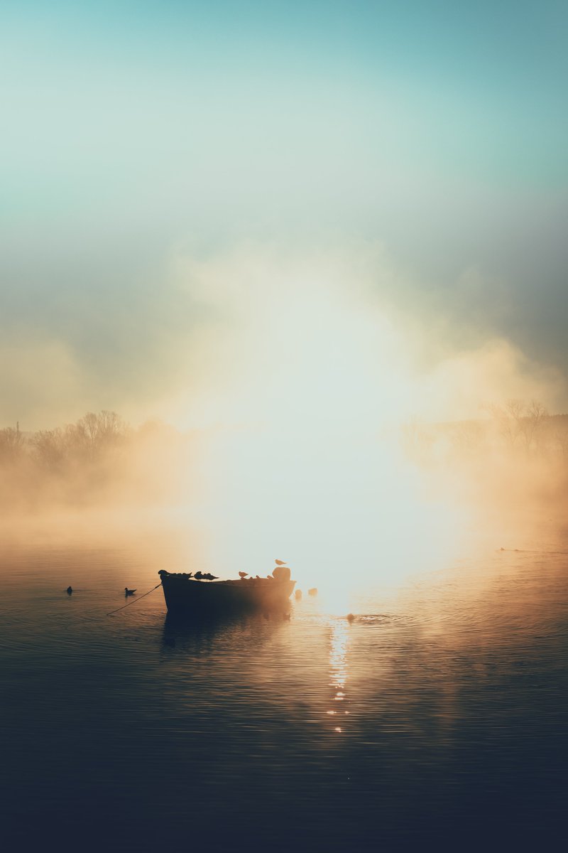 Our newest PICTURE OF THE WEEK is called 'Busy Birds', taken by #LFIgallery user Hanno Stolberg!