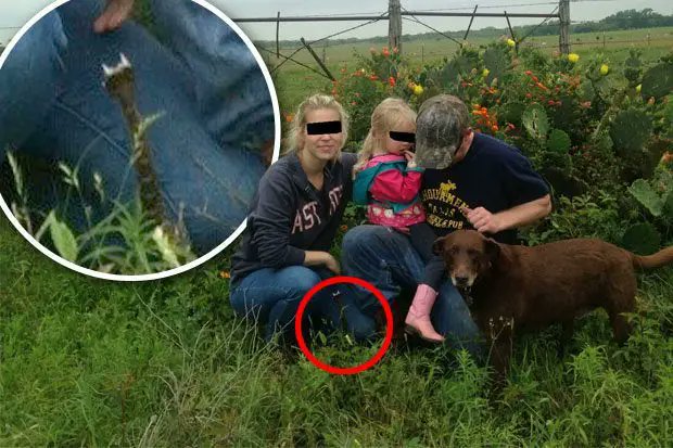 9

Esta familia de Texas estaba en medio de una sesión de fotos familiar, cuando de repente una serpiente venenosa atacó. Todos sobrevivieron, menos el perro que luchó con ella para defender a su familia.