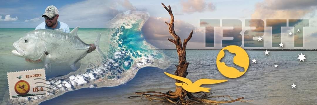 DX_World's tweet photo. QSL of T32TT

https://t.co/O78KgqiwYQ https://t.co/B8eYByfbrw