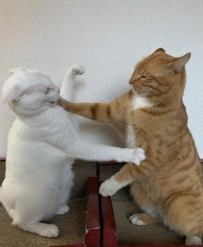 Yan Yanayken                      //     Mesajlaşırken