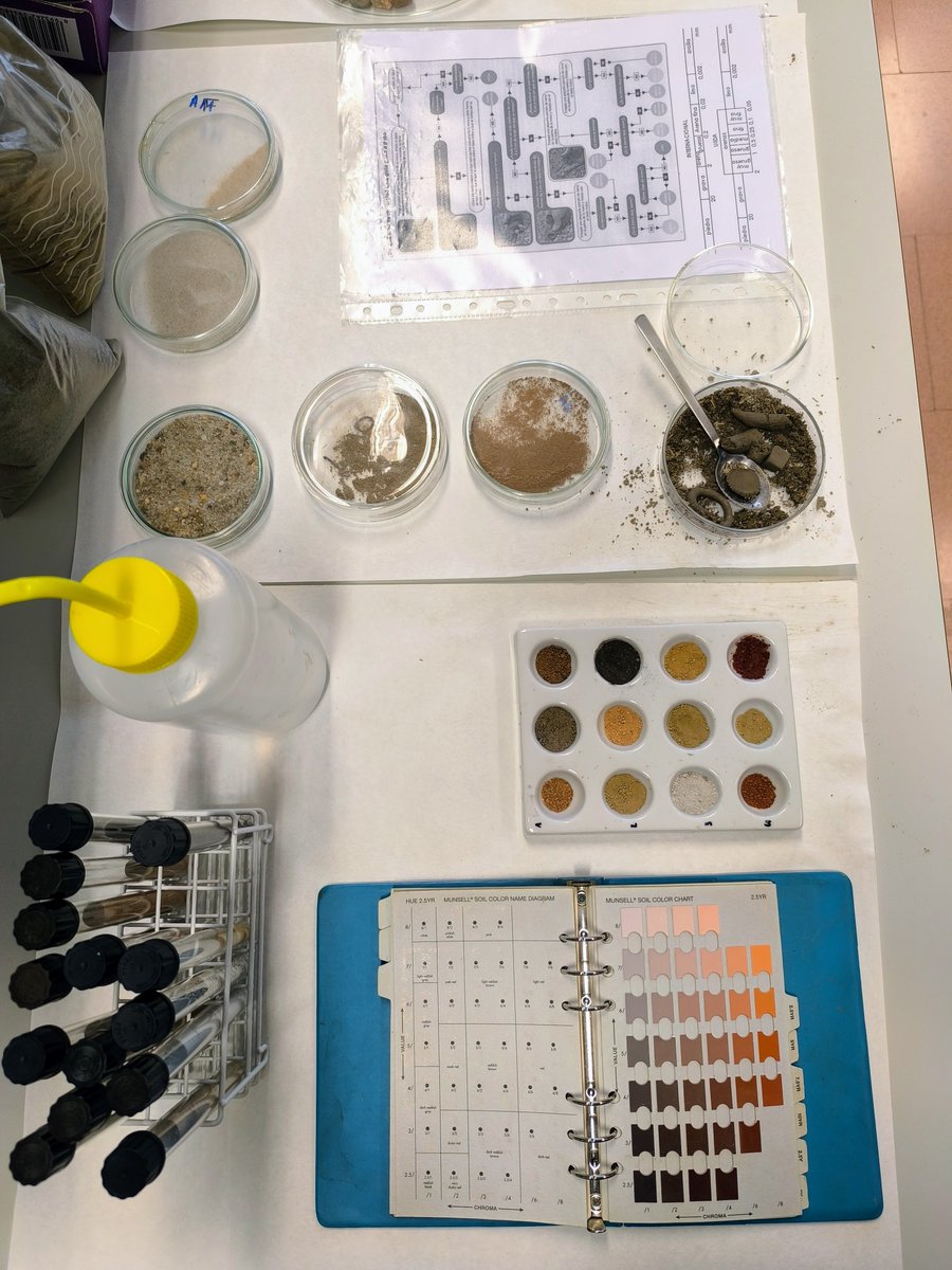 restormine's tweet image. Repasando conceptos de edafología con @DaphLopezMarcos y los compañeros de la asignatura Dinámica de Sistemas Forestales del Máster #DataForest 🔬🪨 @ETSIIAAPalencia