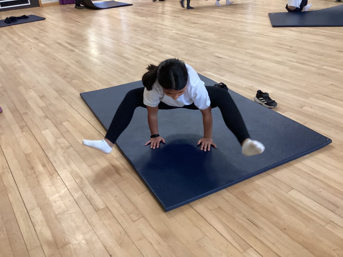 OWPStoucans tweet media