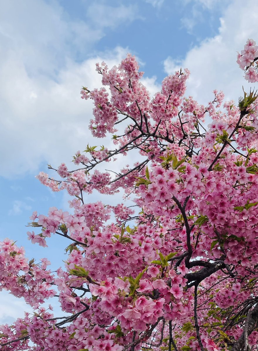 新刊のご感想のお手紙編集部より受け取っております！
本当に本当にありがとうございます✨
春が来て気温差などありますが体に気をつけてお過ごしください😌