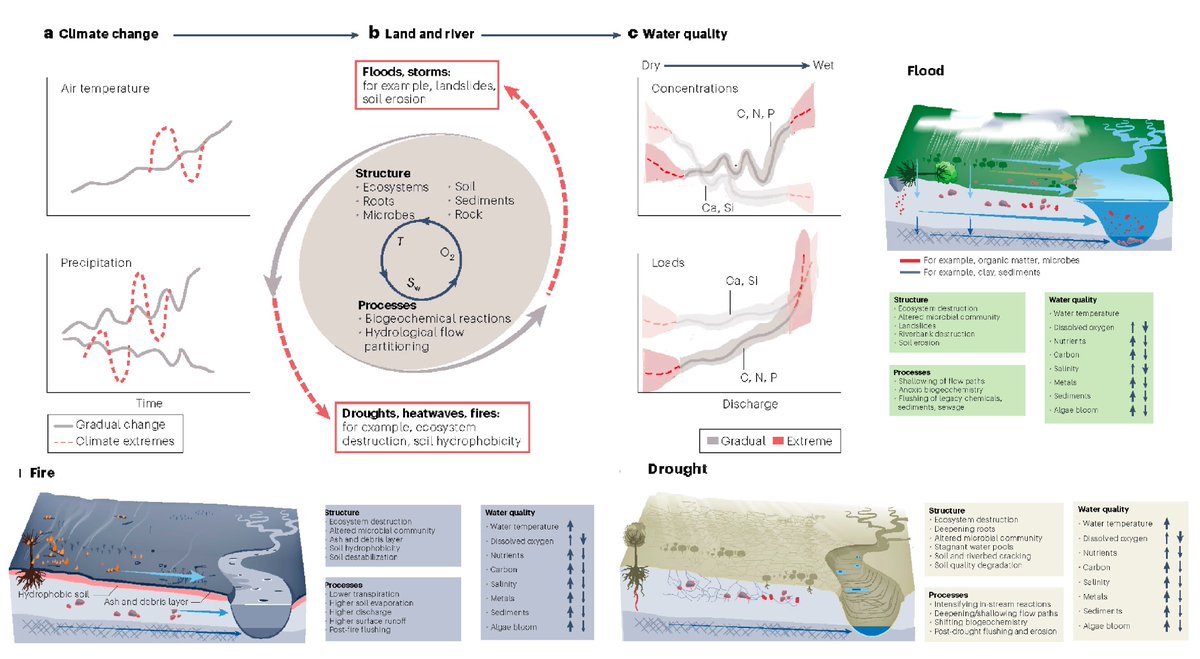 How does land-river connectivity shape river water quality in persistent, gradual climate changes & episodic, intense #extremes? New paper @NatureClimate reviews overlooked impacts of #climatechange on water quality. nature.com/articles/s4155… SharedIt: rdcu.be/dAAhw