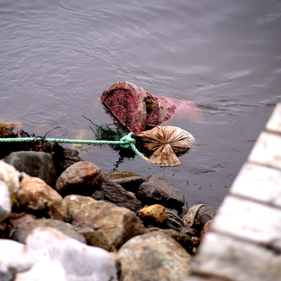 In January we took our ROV to the southwest coast of Newfoundland to explore sites and do some coastal clean-up as part of our ghost gear removal project. We collected 4540lbs of ghost gear and marine debris!

#AHOIWasteBusters #BeatPlasticPollution
<a href="/FishOceansCAN/">Fisheries and Oceans</a>
<a href="/CCFI_MUN/">Canadian Centre for Fisheries Innovation</a>