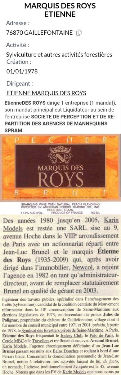 JozDire's tweet image. @MailOnline Le propriétaire du #ChâteauDeGaillefontaine, associé #KarinModels de #JeanLucBrunel complice d'Epstein, issu de la famille #SangBleu #EtienneDesRoys, membre #JockeyClub, intermarié avec la maison #Sanguszko