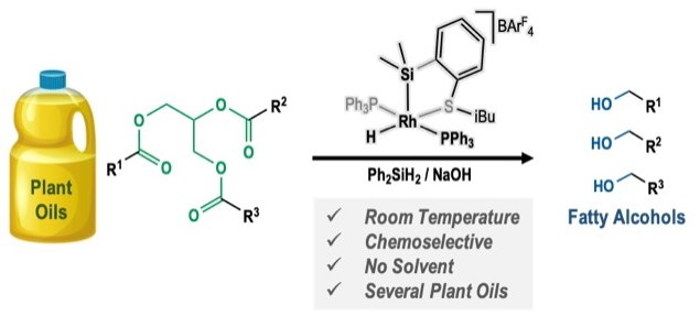 Read our latest #OpenAccess article by Unai Prieto-Pascual et al. highlighting direct chemoselective reduction of plant oils using silane catalysed by Rh(iii) complexes at ambient temperature, published in #RSCSustainability: doi.org/10.1039/D3SU00…