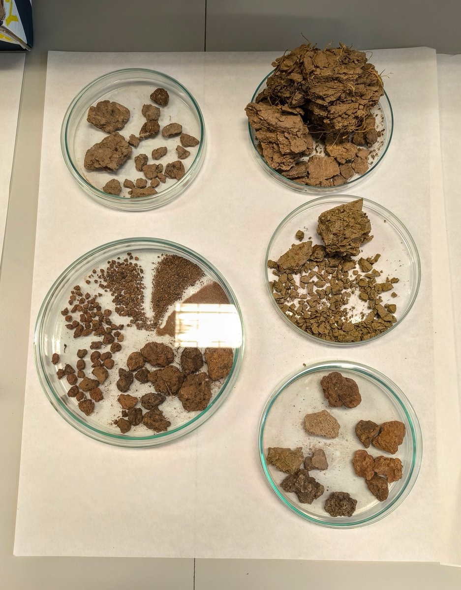 restormine's tweet image. Repasando conceptos de edafología con @DaphLopezMarcos y los compañeros de la asignatura Dinámica de Sistemas Forestales del Máster #DataForest 🔬🪨 @ETSIIAAPalencia