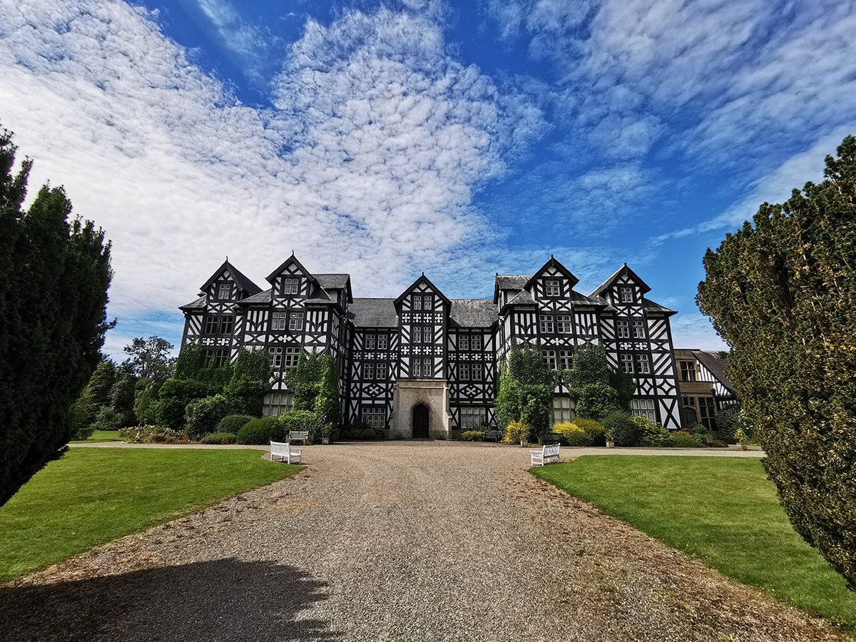 Alison Cotton tweet media