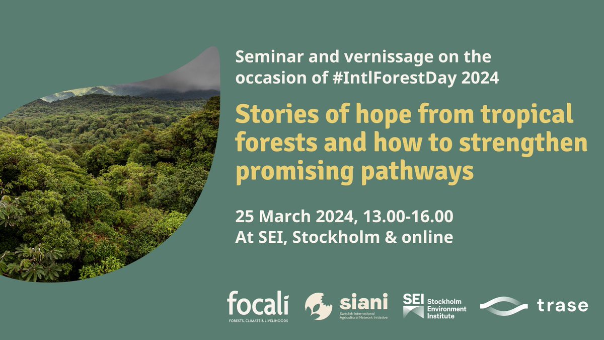 Join us for a journey into the past and present of tropical #rainforest management on the occasion of #IntlForestDay!🌳 Learn from journalists, practitioners and researchers and discuss how to have long-lasting #impact on the ground 🌎 Info & registration: buff.ly/3IrIoc1