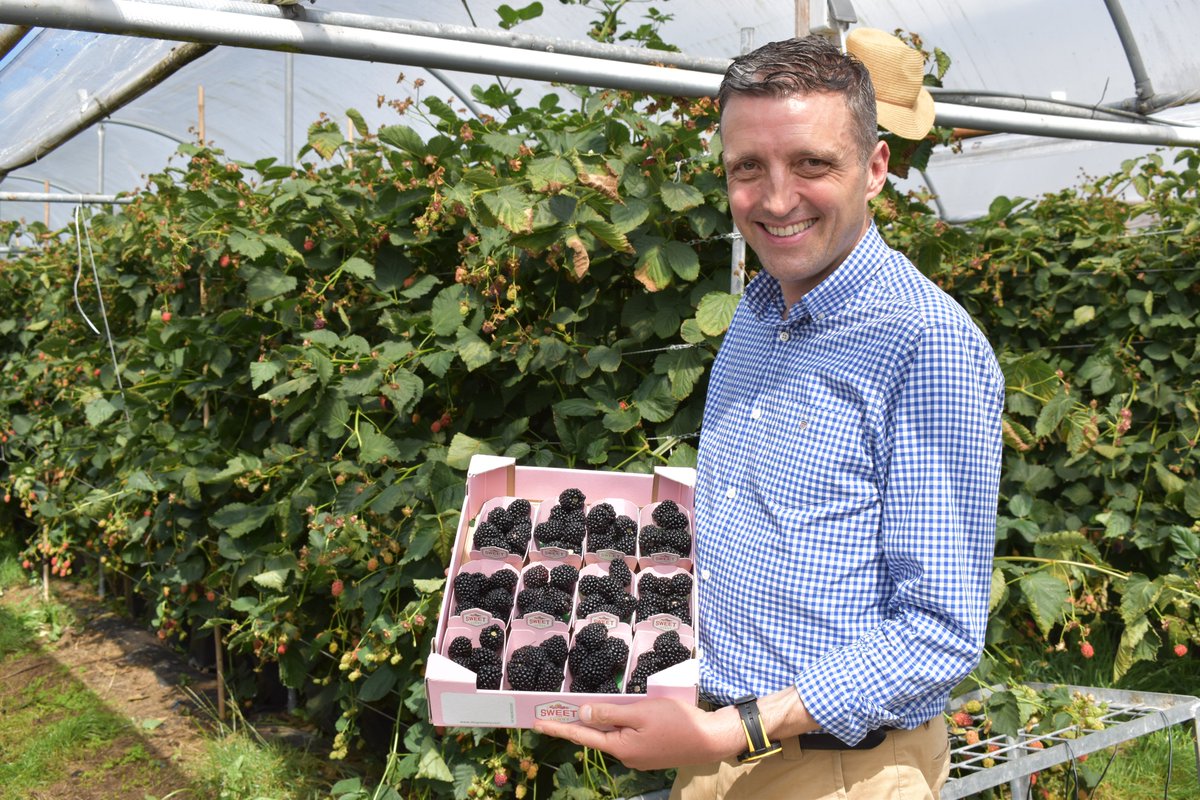 globalplantgen's tweet photo. Jamie recently presented at the @raspblackassoc North American Raspberry & Blackberry Association, Conference – going into much detail about the process behind Long Cane Production for Blackberries.
#NARBA #NorthAmerica #Raspberry #Blackberry #Association #LongCaneProduction https://t.co/MsG4AFMlny