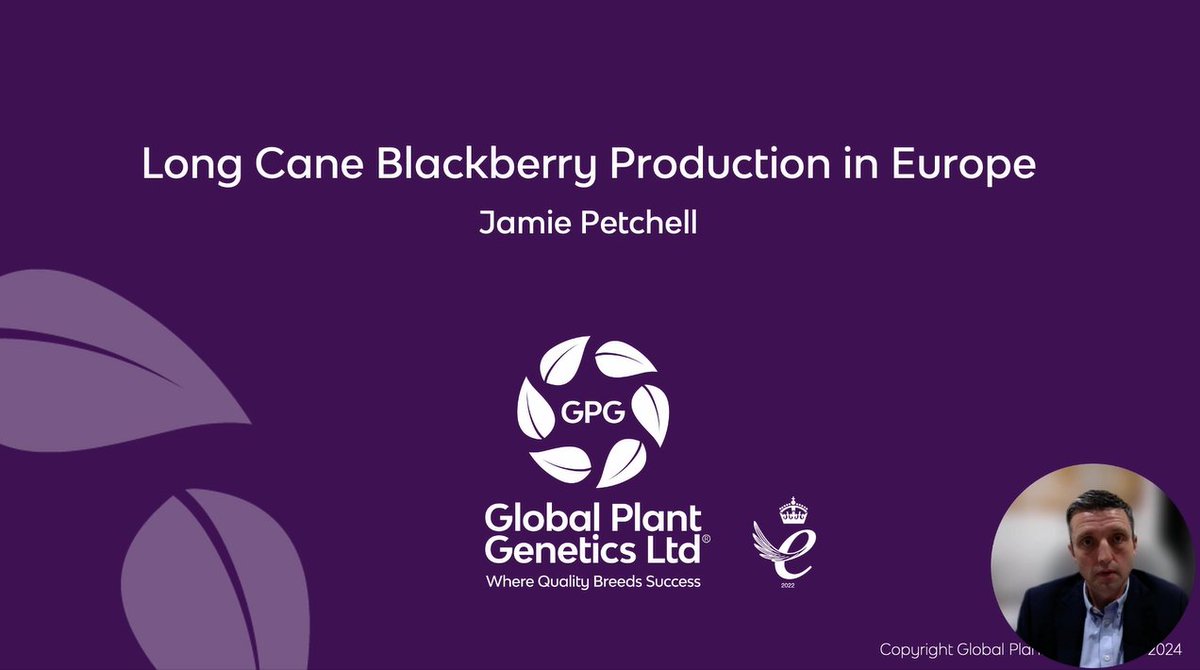 globalplantgen's tweet photo. Jamie recently presented at the @raspblackassoc North American Raspberry & Blackberry Association, Conference – going into much detail about the process behind Long Cane Production for Blackberries.
#NARBA #NorthAmerica #Raspberry #Blackberry #Association #LongCaneProduction https://t.co/MsG4AFMlny