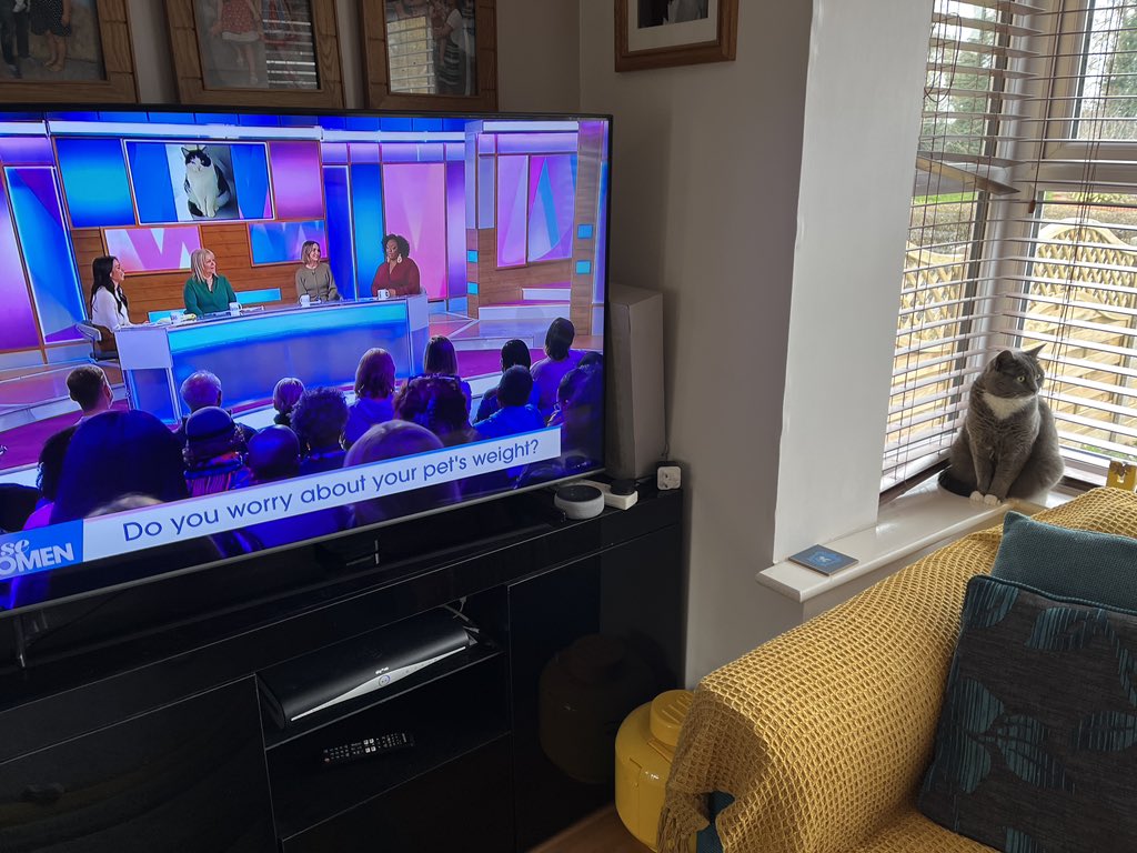 Aimee Marshall tweet media