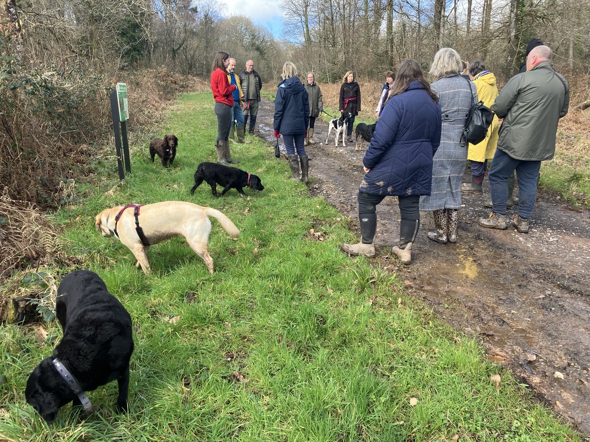 Loads of fun in the sun on our Waggy Walk at Ashclyst Forest yesterday 🌳☀️Thanks to Anna and Fiona ⁦<a href="/NTKillerton/">Killerton</a>⁩ for welcoming us🐶🐾
