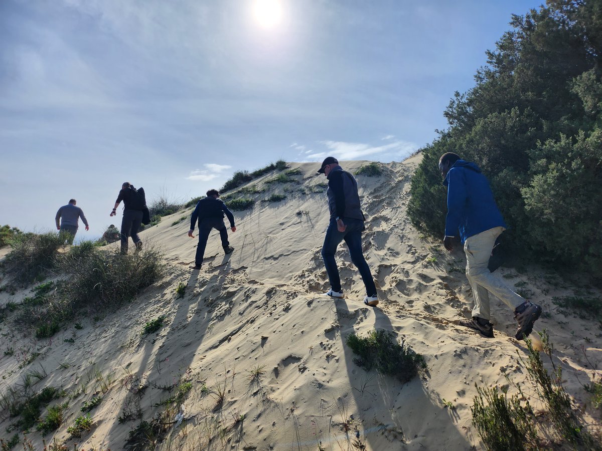 JoannaPszonka's tweet photo. Field trips are an essential part of geology conferences. The ones for the next year's @sedimentology Meeting #38IMS are in the pipeline. https://t.co/iRGmpaFZqE