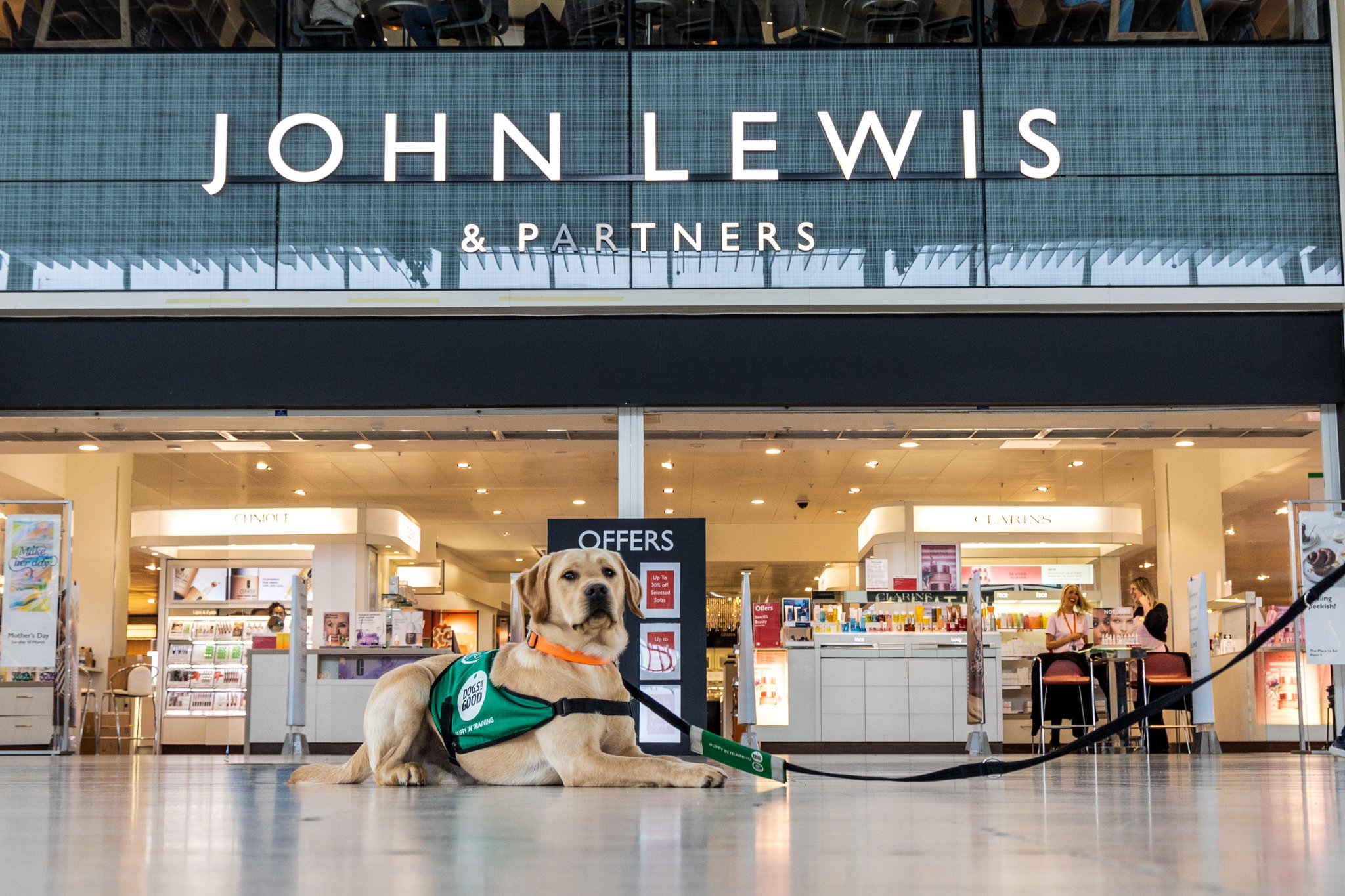 Dogs for Good on X When Lewis visited John Lewis As it is ThankYouThursday we d like to thank our friends JohnLewisRetail for their incredible fundraising over the last year. The Milton Keynes