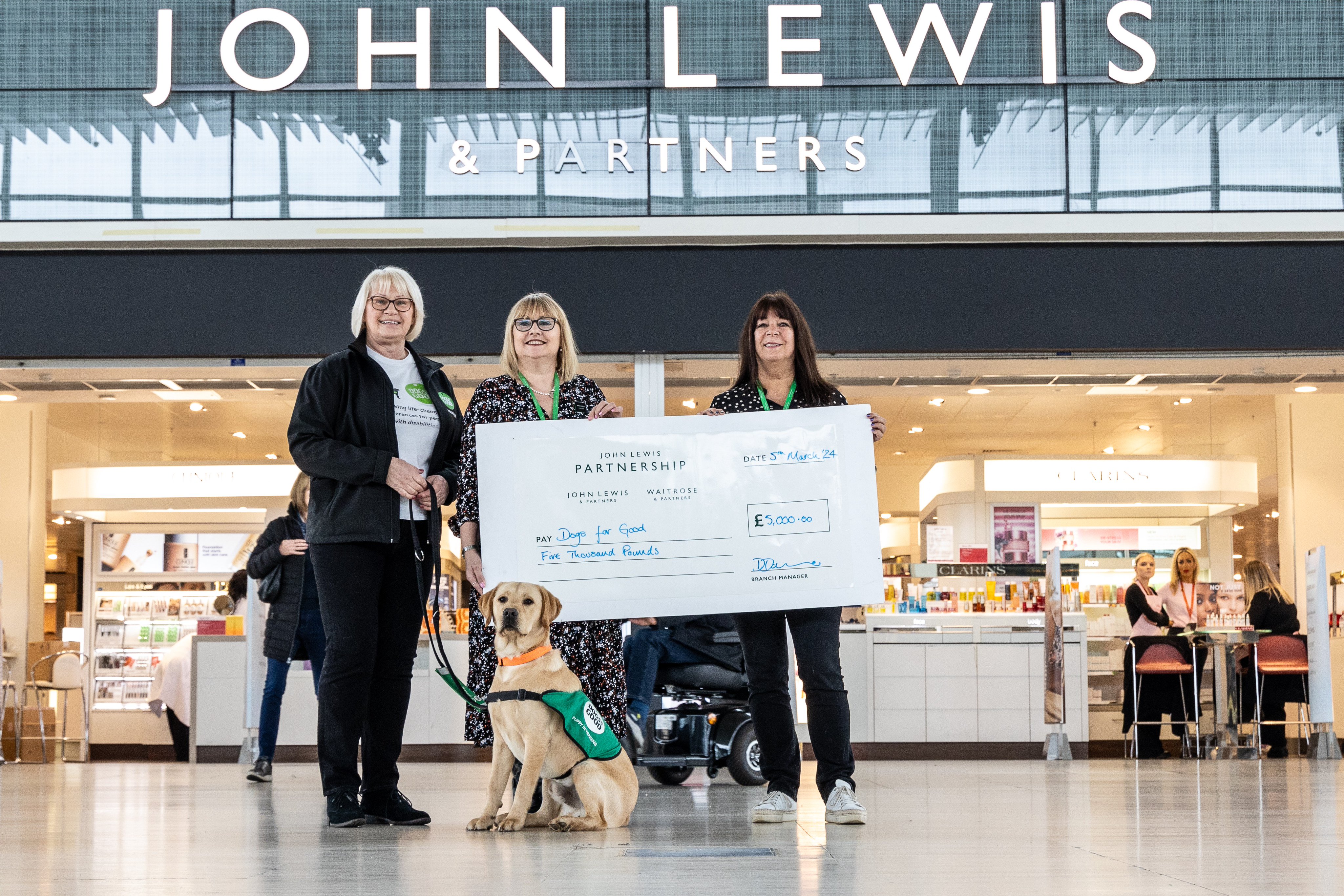 Dogs john lewis online