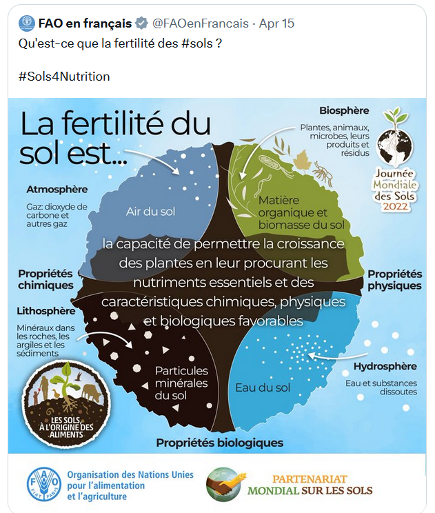 Jean Marc Sika tweet media