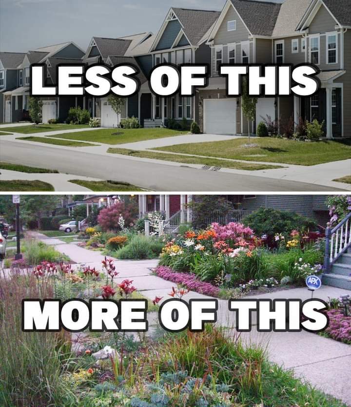 RespectfulMemes's tweet photo. https://t.co/M4d5ly69vb