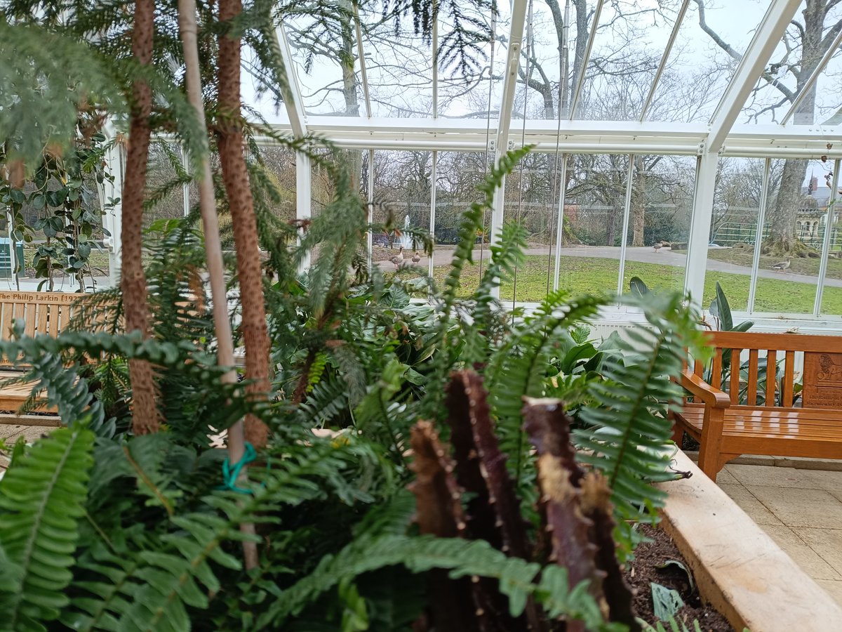 Giulia Repetti tweet media