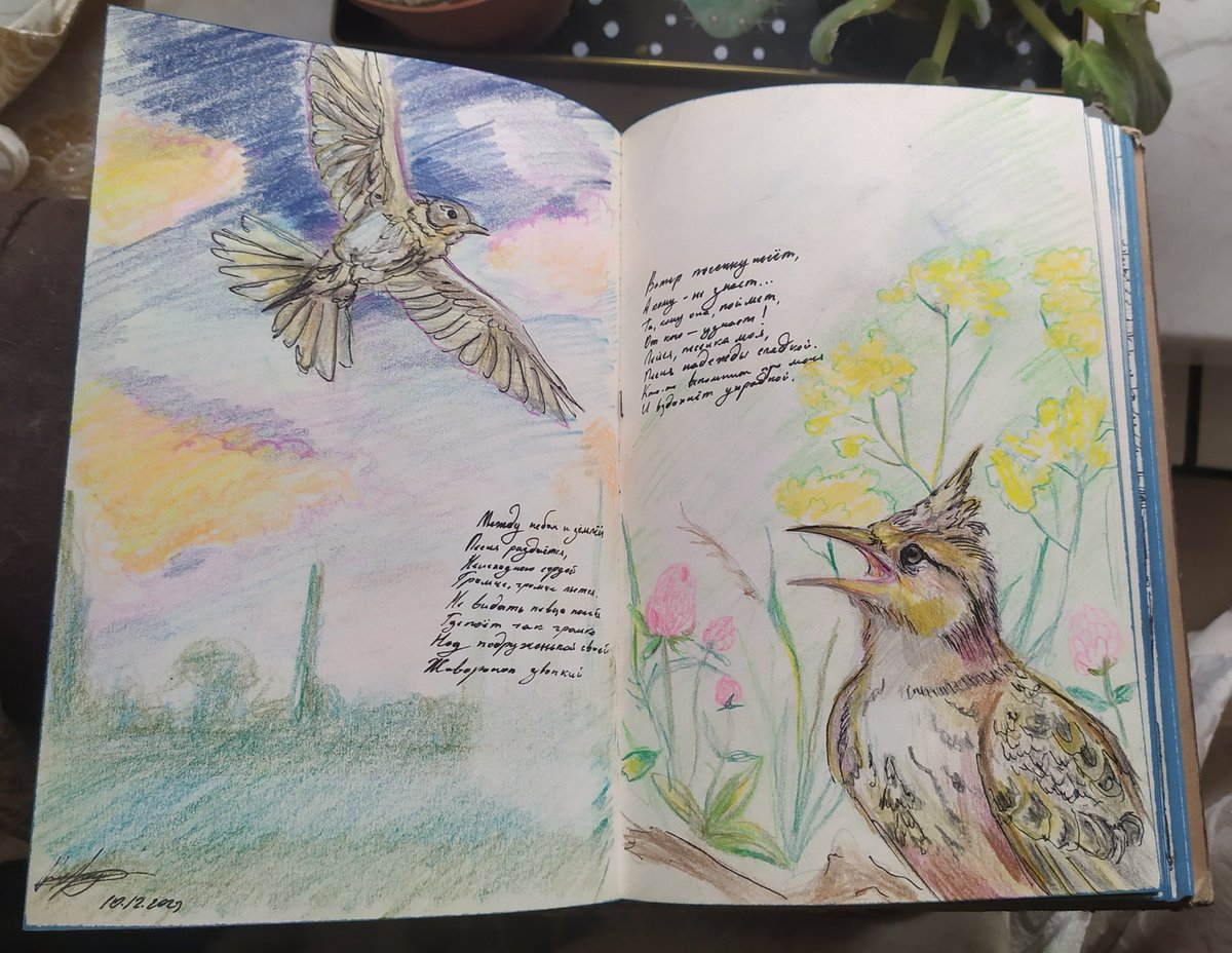 WildWind2199's tweet photo. #illustration for the romance "The Lark" by composter Mikhail Glinka, written to the words of N.V. Kukolnik, and published in the collection "Farewell to Petersbrug" in 1840.
#art #pencilart #ink https://t.co/yWHeTfr2NZ