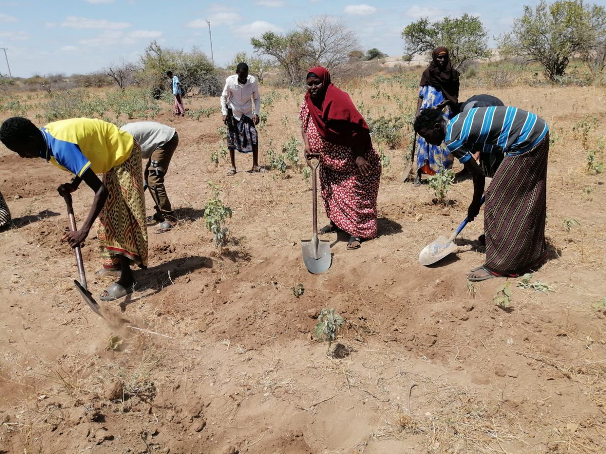 DAIGlobal's tweet image. Since &apos;23, @USAIDKenya #STAWIproject partners w 9 county govnts in arid &amp;amp; semi-arid lands to drive systemic change. We connect investments in #governance, #water resource mgmt, svs delivery, &amp;amp; water for productive uses in alignment w @MyGovKe priorities

@USAIDWater #Wasic2024