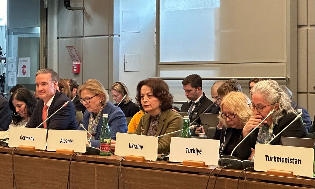W1D_OSCE's tweet photo. Ahead of #InternationalWomensDay, @GerAmbOSCE delivered a joint statement at the OSCE, on behalf of W1D, on importance of gender equality. 

We must redouble efforts as we mark 20 yrs since 2004 OSCE Gender Action Plan. 

🙏@PalihoviciLil @OSCE24MT @HelgaSchmid_SG for leadership. https://t.co/sH7wIOnk83