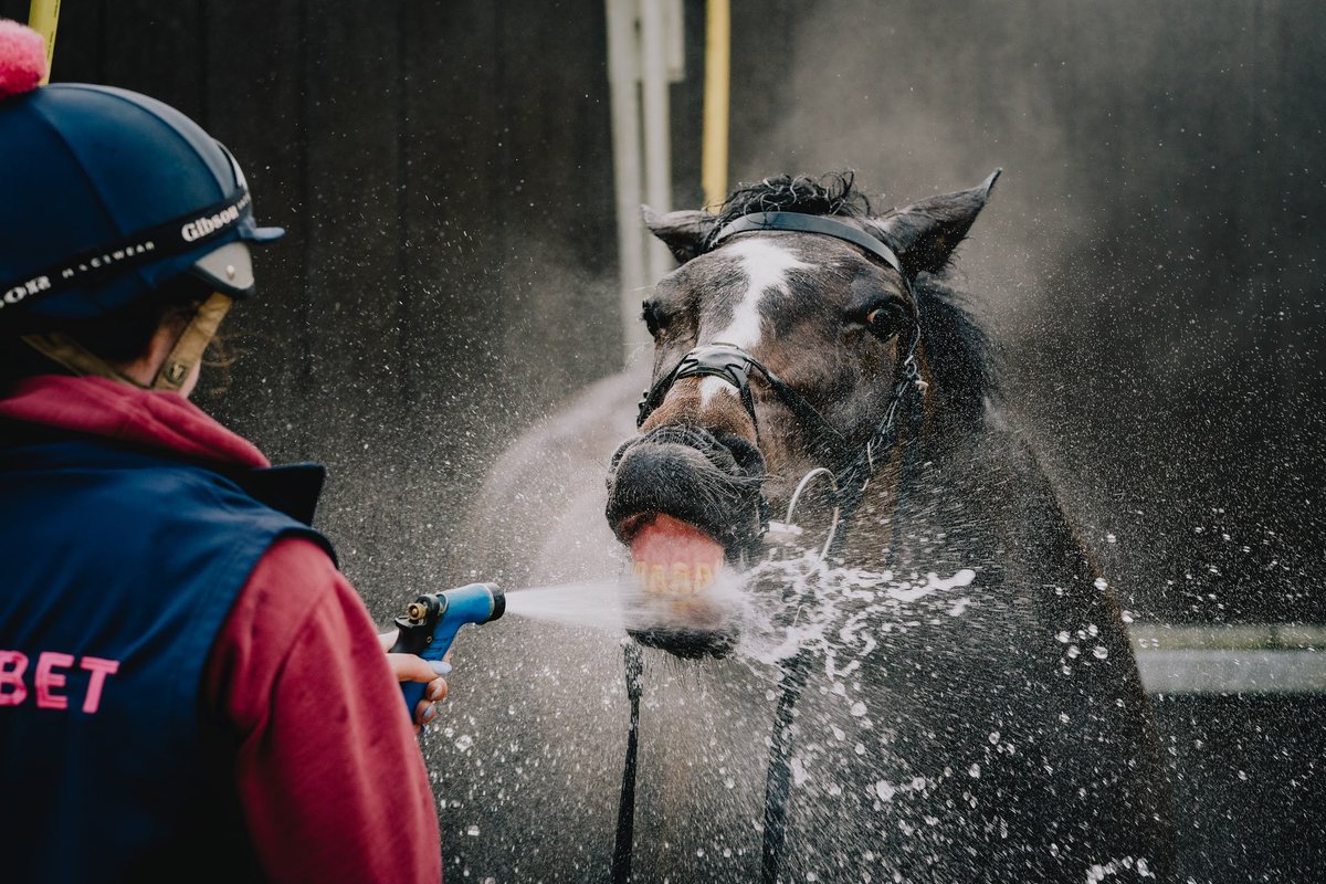 Fergal O'Brien Racing tweet media