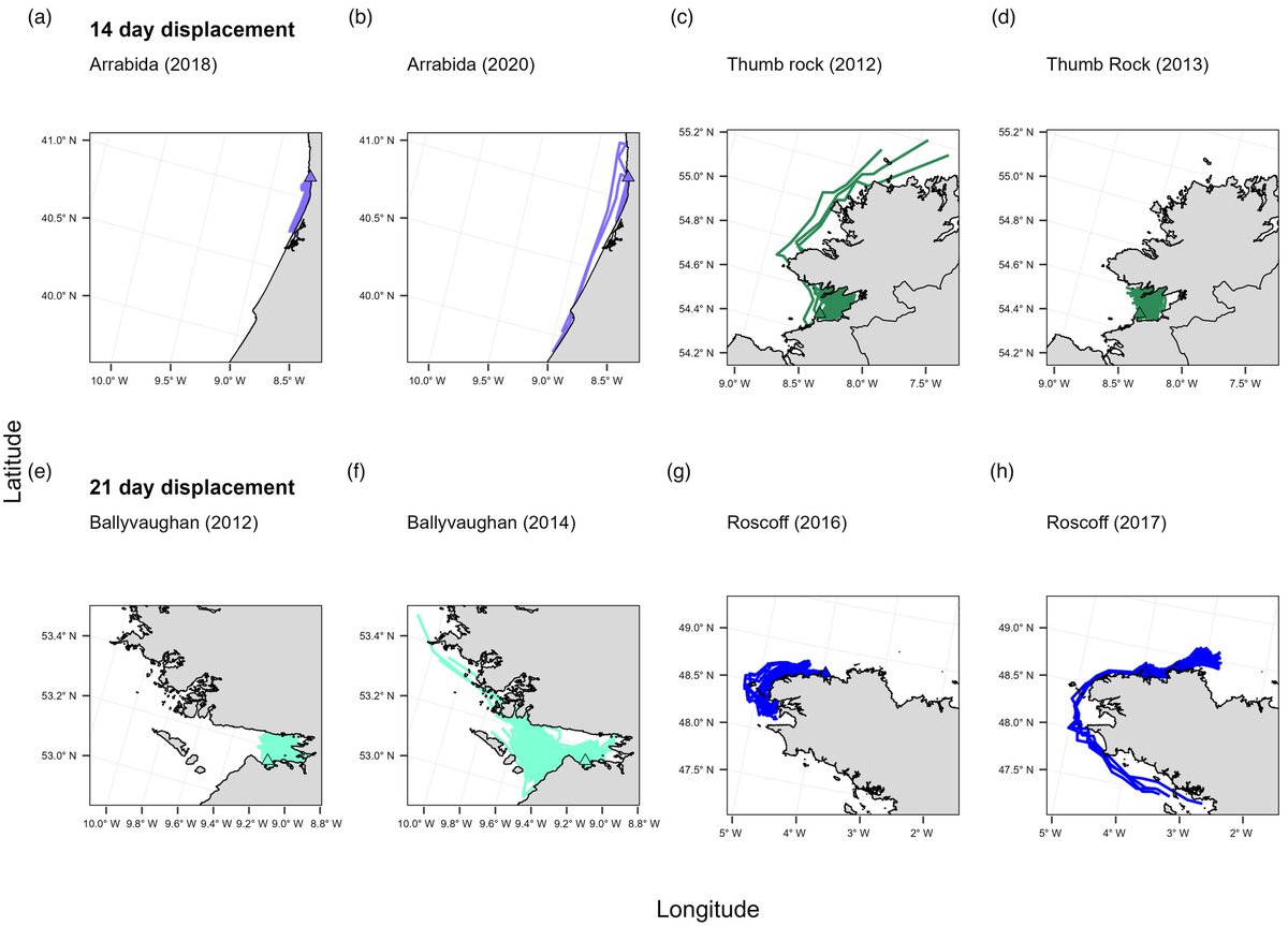 🪸 New research on marine connectivity in pink sea fans led by <a href="/KirstyLMacleod/">Kirsty Macleod</a> ✨

Using genome-wide SNPs and passive dispersal modelling, we found that rare and longer dispersal events likely explains range-wide isolation-by-distance.

doi.org/10.1111/eva.13…
#octocoral #popgen