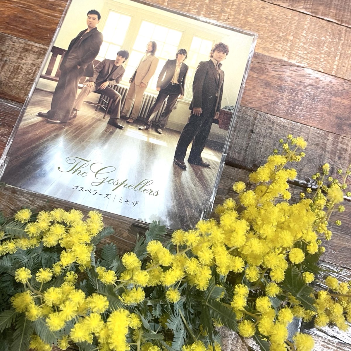 the_gospellers's tweet photo. 本日3月8日は #ミモザの日

#ガラスの靴で踊るミモザ
#ミモザ #ゴスペラーズ

https://t.co/x82qlHcpK3 https://t.co/rnSPcTwvZA