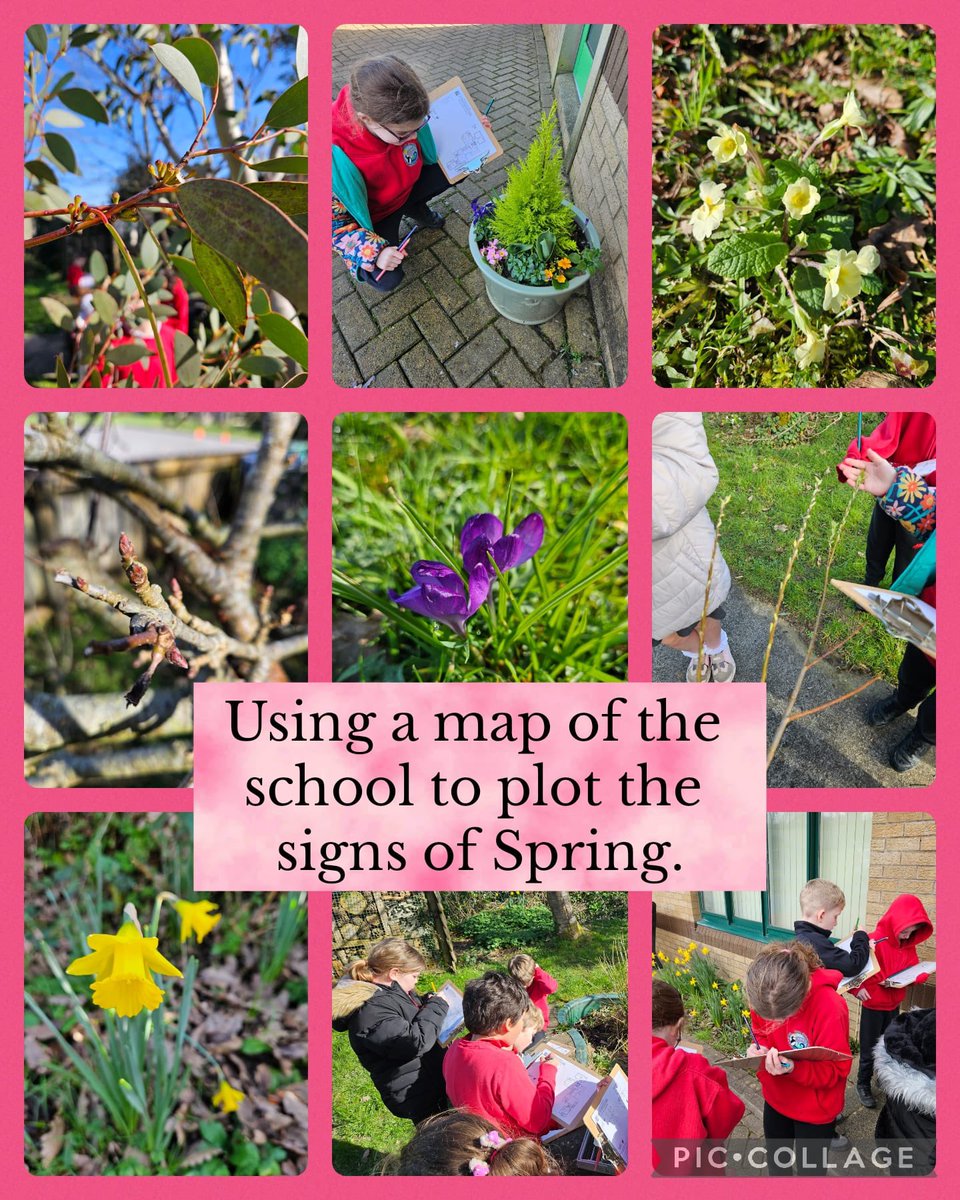 Stepaside C.P. School (@stepasidecp) on Twitter photo Dosbarth Broad Haven #outdoorlearning #weloveSpring #brighterdaysarecoming Dosbarth Broad Haven #outdoorlearning #weloveSpring #brighterdaysarecoming