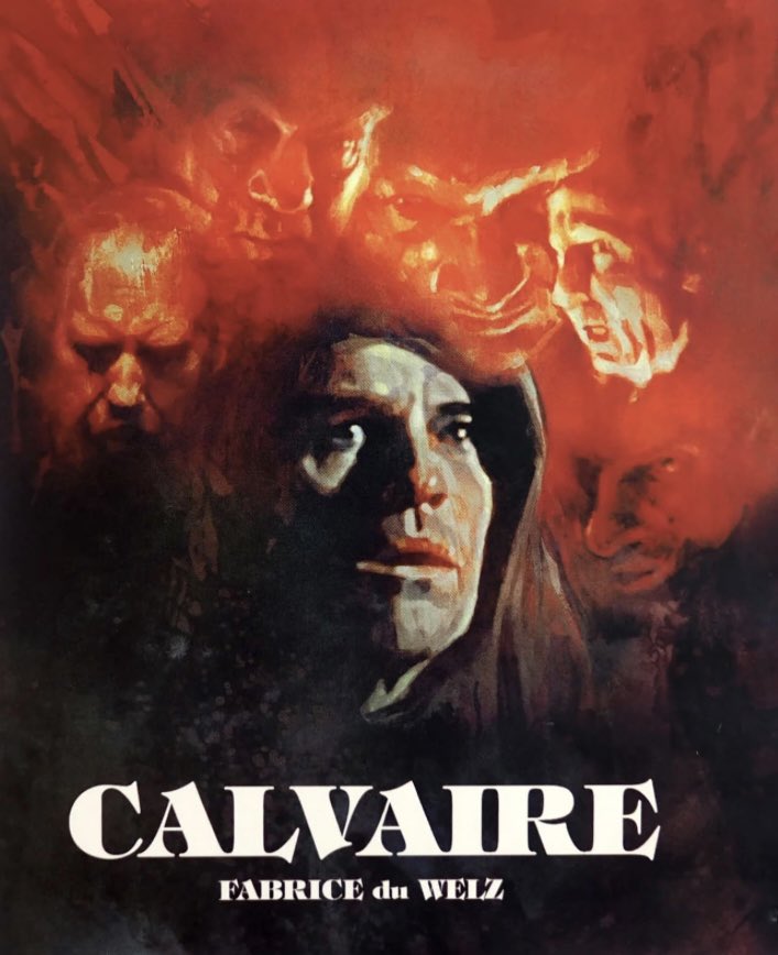 If you're in the mood for some #FrenchHorror, this was quite good!