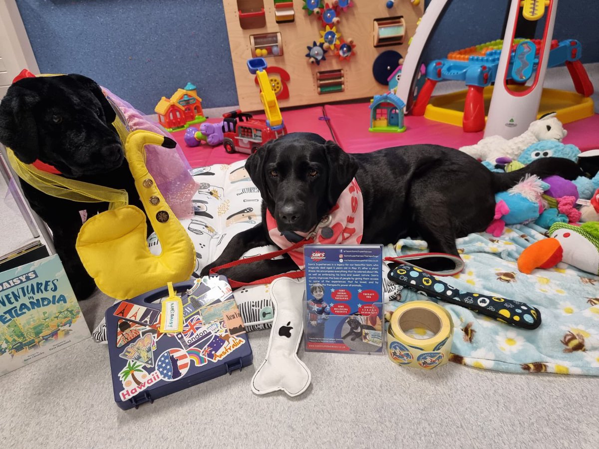 NCH Play Service tweet media