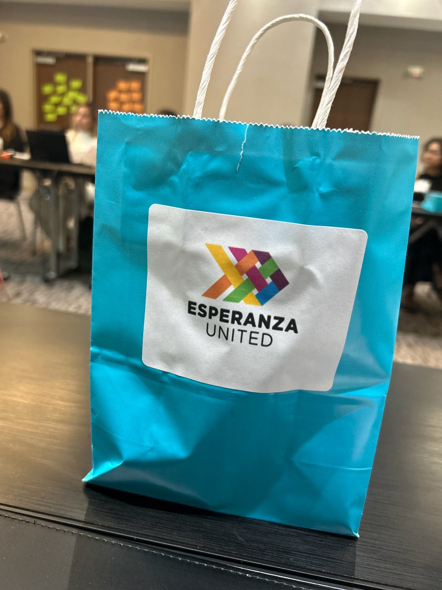NRCDV's Ivonne Ortiz and Patty Branco are loving being in community with @EsperanzaUnited at the National Latin@ Training & TA Council meeting in New Orleans this week!