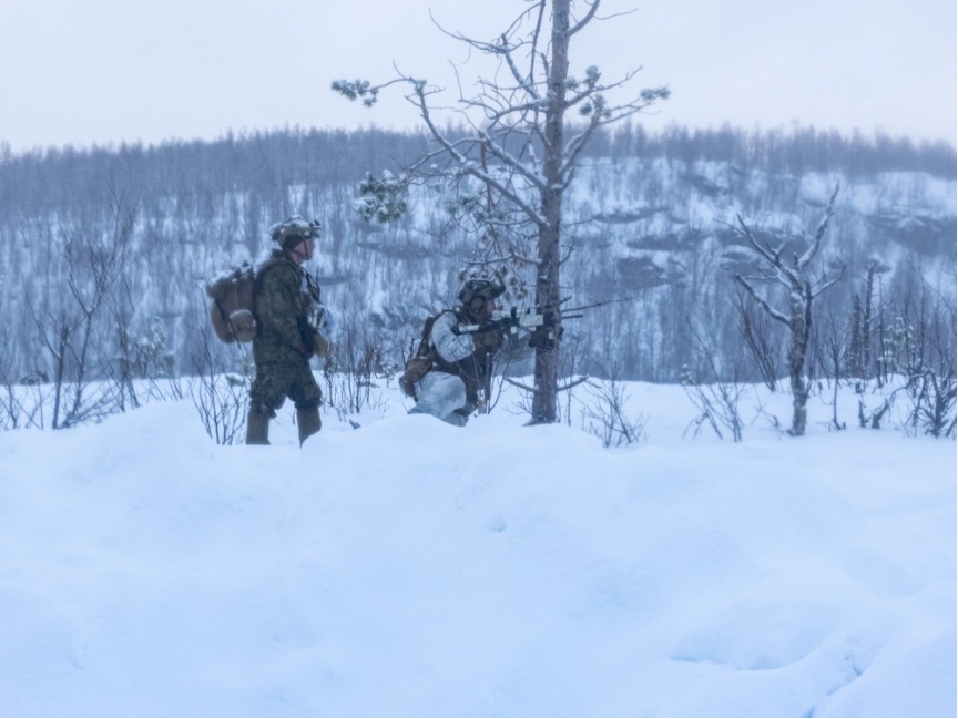 📍Norway #Marines w/ @2dMarDiv train live-fire maneuvers for #NordicResponse24. The exercise tested receiving reinforcements, command interoperability, joint operations, logistics, @NATO integration, & countering adversaries. (@USMC 📸 by Cpl. Joshua Kumakaw) #NR24 #NATO