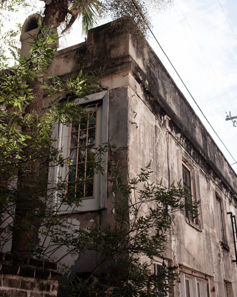 Sturdy Brothers tweet media