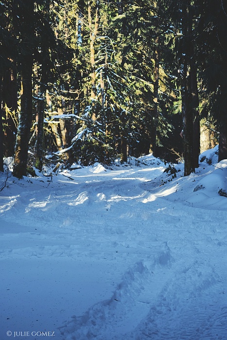 Julie Gomez tweet media