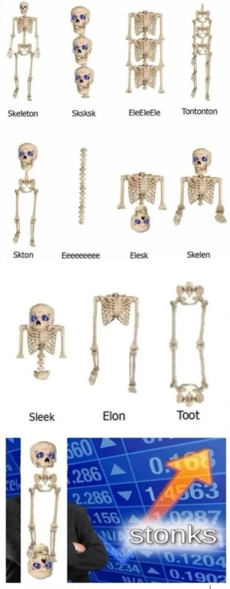 Dioscorides tweet media