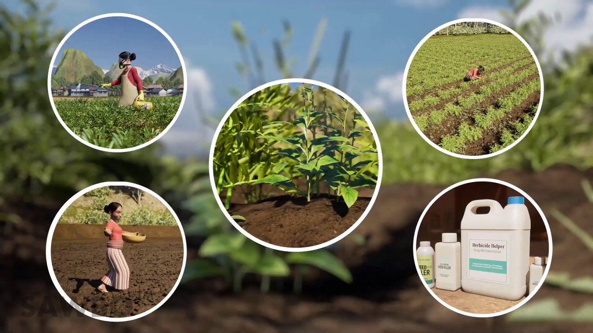 Weeds are a constant problem for farmers and can reduce lentil yields by up to 90%
every harvest. Learn effective weed management techniques in Nepalese lentil fields in
this short video by <a href="/SAWBOsm/">SAWBO - Scientific Animations Without Borders</a>
sawbo-animations.org/1977