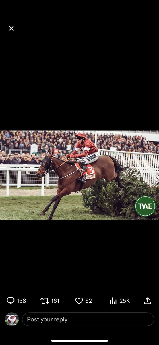 Mark Curran tweet media