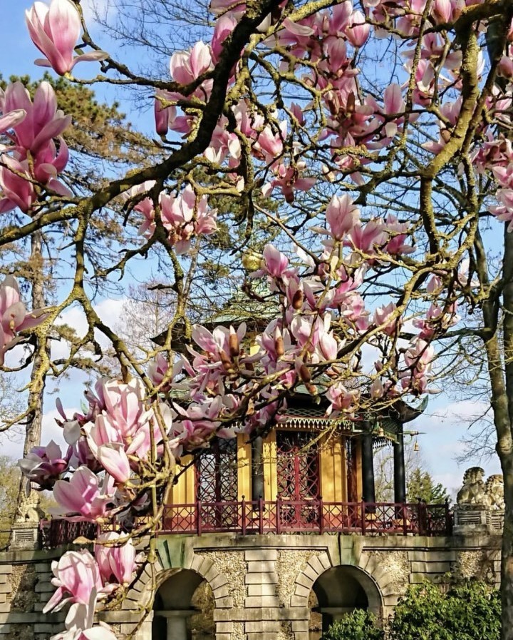 valdoise's tweet photo. #JeudiPhoto
Le printemps arrive
#valdoise #lisleadam #valdoisetourisme #nature #valdoisenature #visitevaldoise
đž@bridgetabba7 https://t.co/VZC9jyQtNo