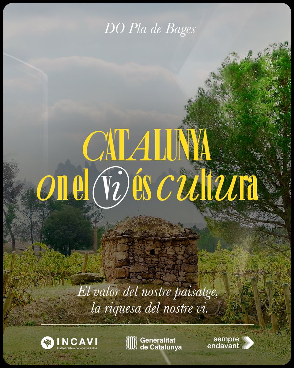 ⏳Des de 1995, la <a href="/dopladebages/">DO Pla de Bages</a> protegeix i agrupa els cellers i els vins elaborats al Bages i part del Moianès, tots ells de tradició familiar i amb vinya pròpia.

🍇La varietat autòctona més representativa de la zona és la #picapoll.

#Jotriovicatalà #incavi #horitzóincavi2025
