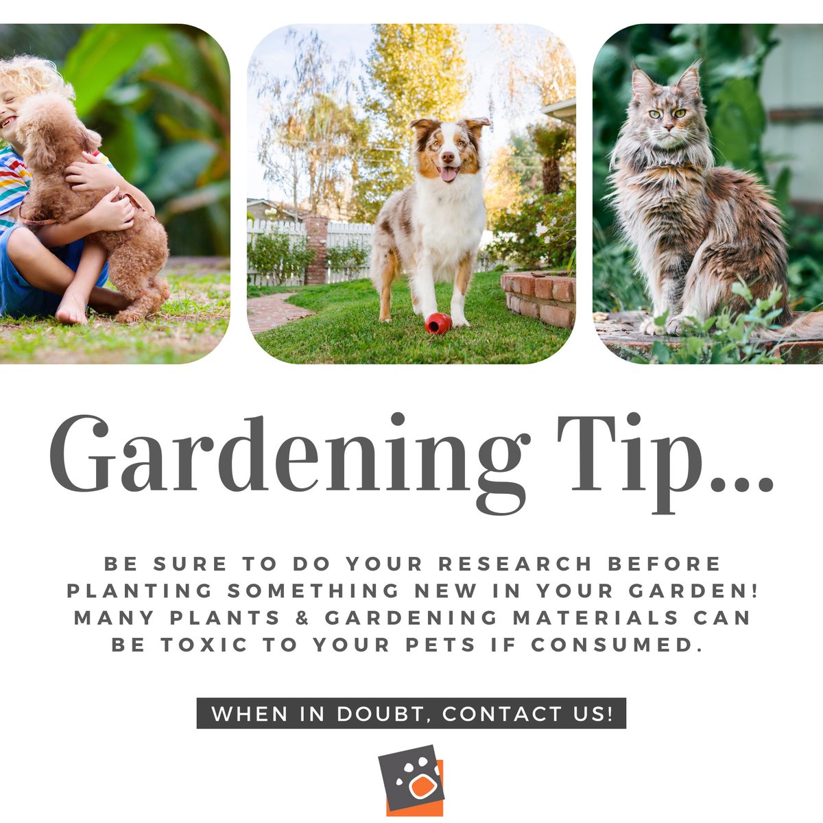 Green thumbs, beware! 🌱🐾 Ensure your garden is pet-friendly by researching plants and materials. Some can be toxic to your furry friends. When in doubt, reach out to us! #PetSafety #GardenCare
