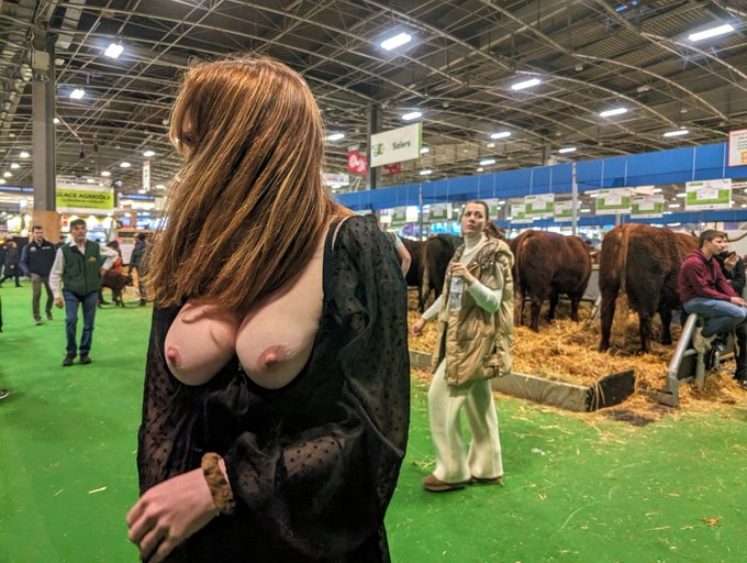 Petite visite au salon de l'agriculture, c'&eacute;tait vraiment sympa.  Ces beaux taureaux, ces belles laiti&egrave;res